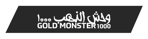 amasya-minelab-gold-monster-1000